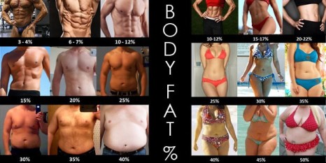 body-fat-percentage-examples-comparison1-e1443176156415